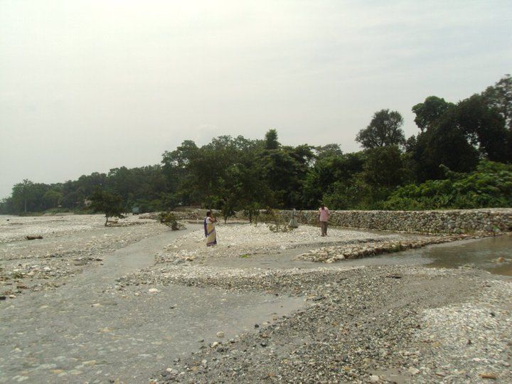 Photo of Trip to Buxa Tiger Reserve 19/42 by Nabakumar Das