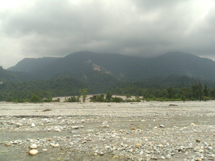 Photo of Trip to Buxa Tiger Reserve 20/42 by Nabakumar Das