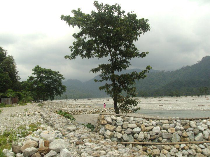 Photo of Trip to Buxa Tiger Reserve 25/42 by Nabakumar Das