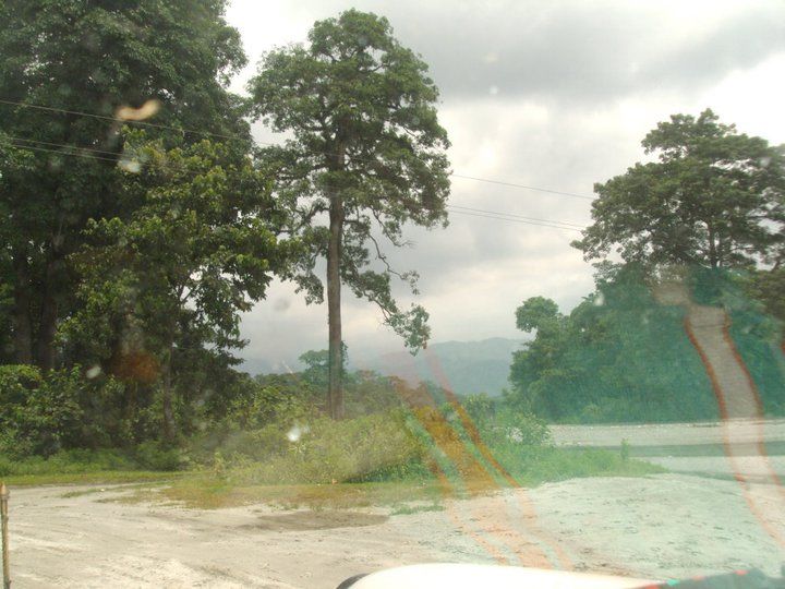 Photo of Trip to Buxa Tiger Reserve 26/42 by Nabakumar Das