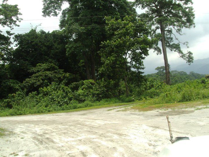 Photo of Trip to Buxa Tiger Reserve 27/42 by Nabakumar Das