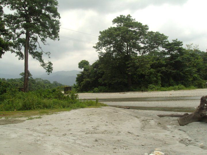 Photo of Trip to Buxa Tiger Reserve 28/42 by Nabakumar Das