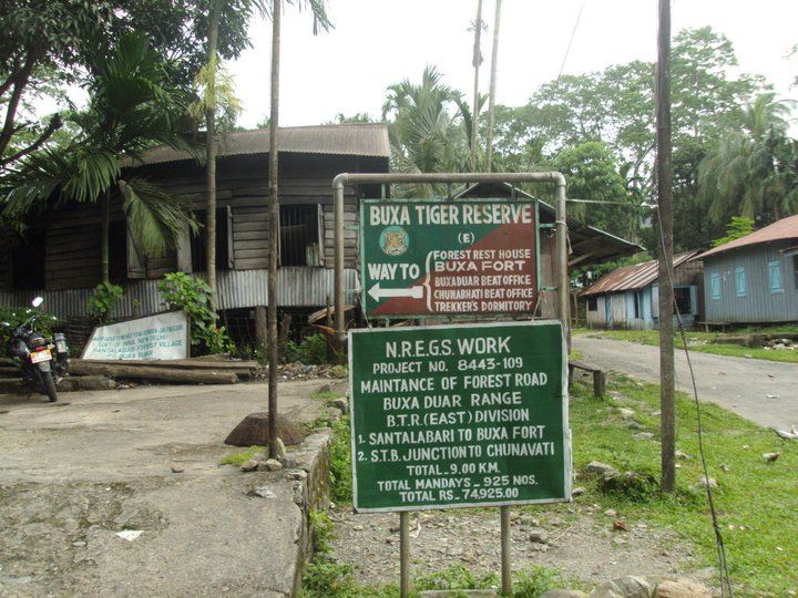 Photo of Trip to Buxa Tiger Reserve 31/42 by Nabakumar Das