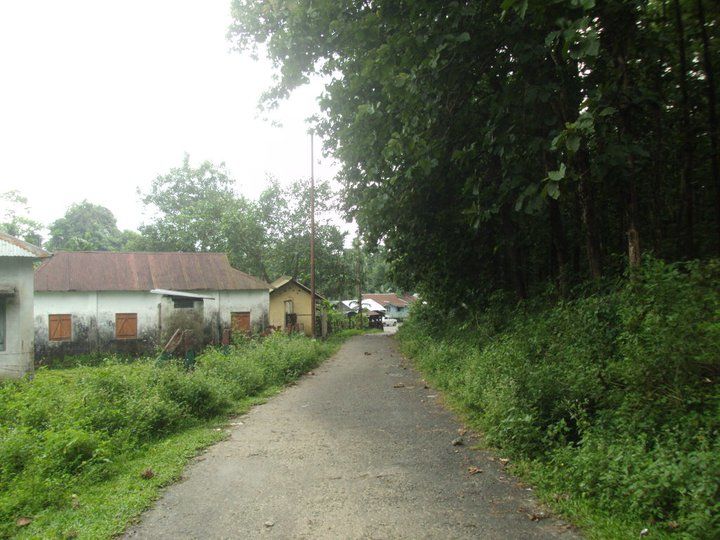 Photo of Trip to Buxa Tiger Reserve 33/42 by Nabakumar Das