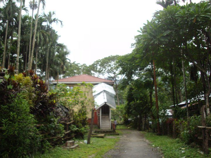 Photo of Trip to Buxa Tiger Reserve 36/42 by Nabakumar Das