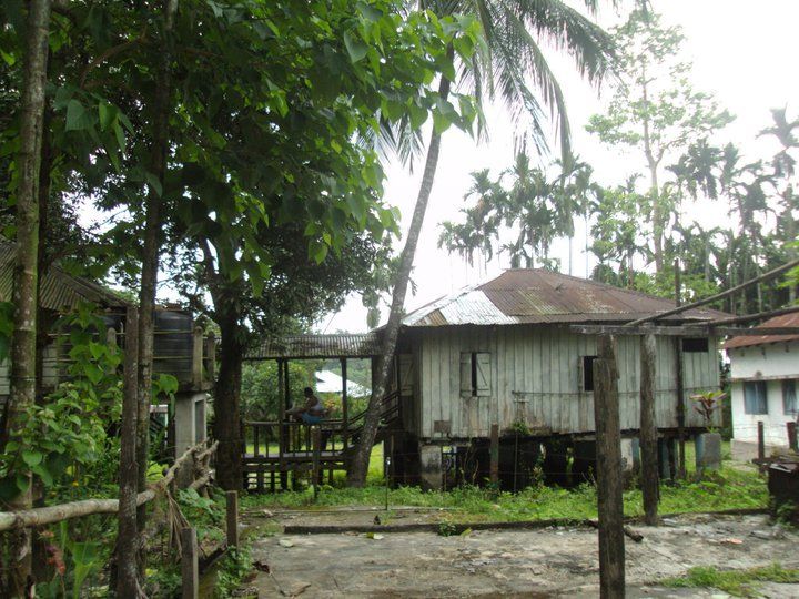 Photo of Trip to Buxa Tiger Reserve 37/42 by Nabakumar Das