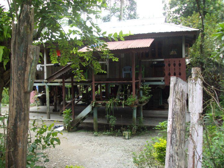 Photo of Trip to Buxa Tiger Reserve 38/42 by Nabakumar Das