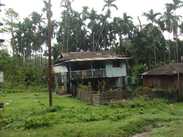 Photo of Trip to Buxa Tiger Reserve 41/42 by Nabakumar Das