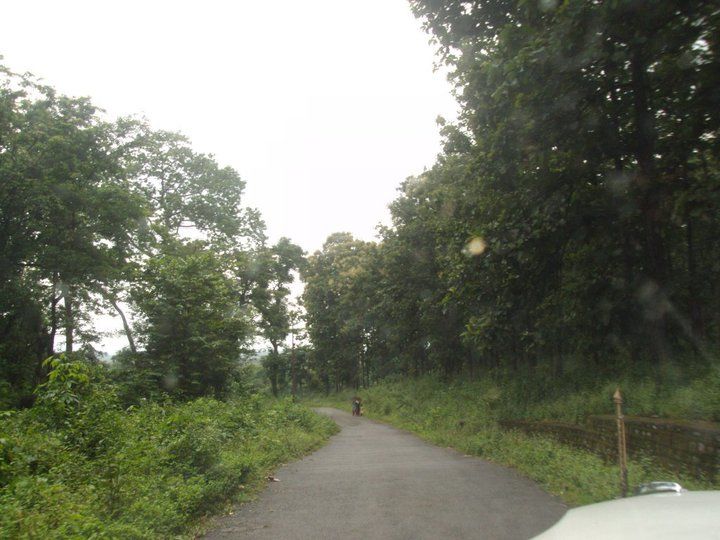 Photo of Trip to Buxa Tiger Reserve 42/42 by Nabakumar Das