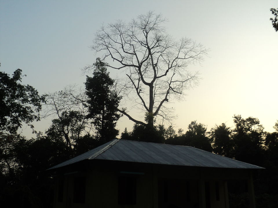 Photo of Lonely Lankapara near Bhutan Border 6/33 by Nabakumar Das