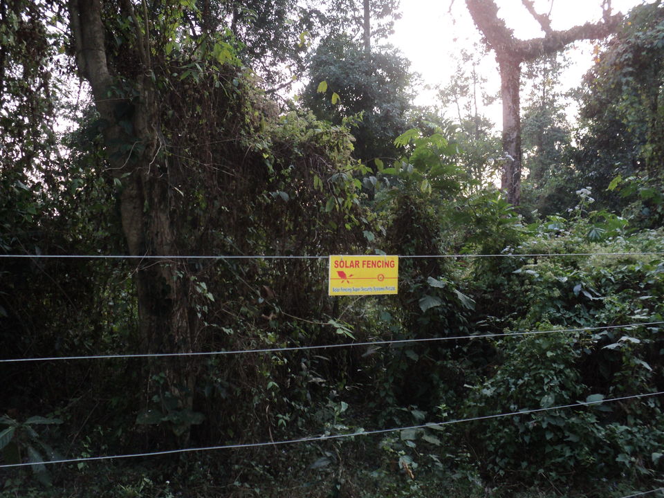 Photo of Lonely Lankapara near Bhutan Border 9/33 by Nabakumar Das