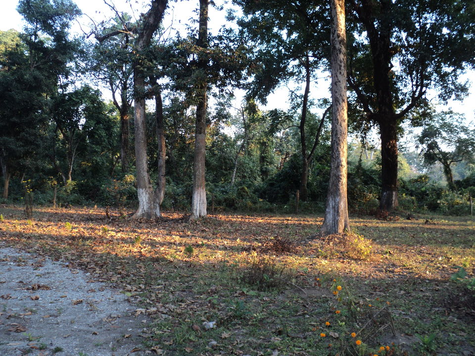 Photo of Lonely Lankapara near Bhutan Border 16/33 by Nabakumar Das