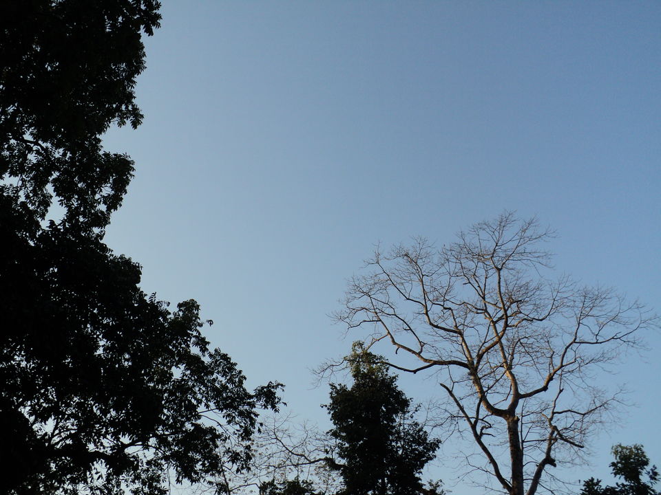 Photo of Lonely Lankapara near Bhutan Border 18/33 by Nabakumar Das