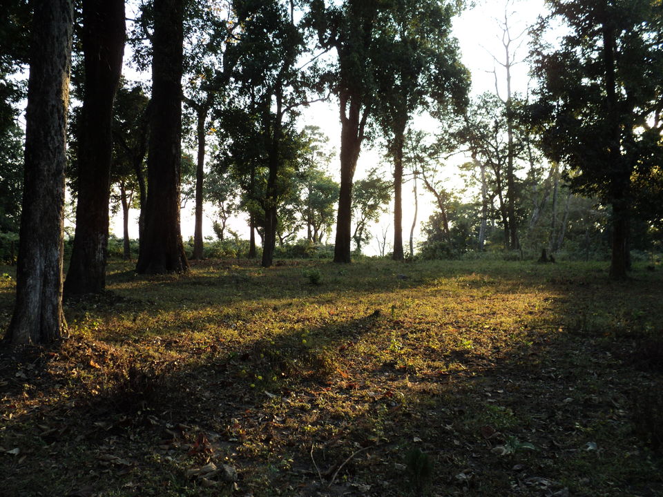 Photo of Lonely Lankapara near Bhutan Border 20/33 by Nabakumar Das