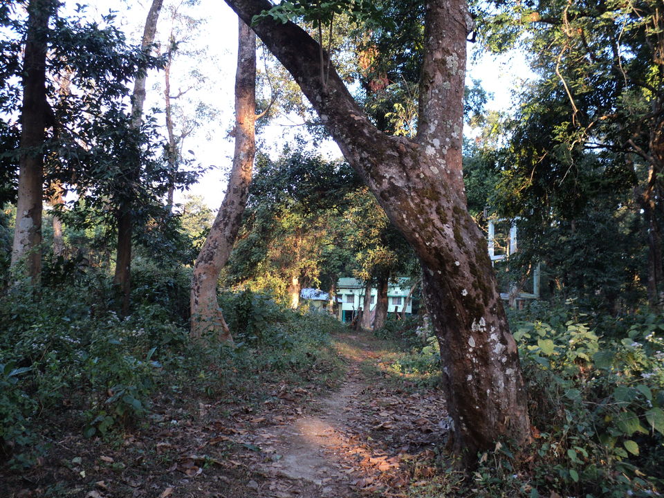 Photo of Lonely Lankapara near Bhutan Border 22/33 by Nabakumar Das