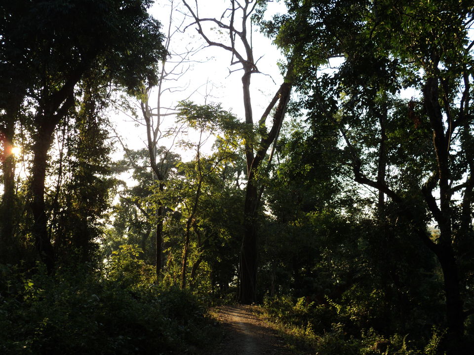 Photo of Lonely Lankapara near Bhutan Border 25/33 by Nabakumar Das