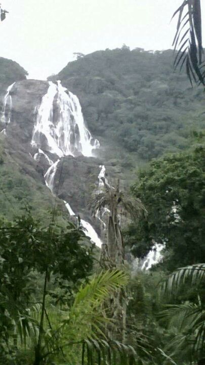 Photo of 573, Candolim Beach Rd, Candolim, Goa 403515, India by Saptarshi Choudhury