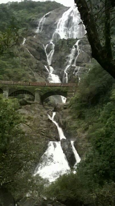 Photo of 573, Candolim Beach Rd, Candolim, Goa 403515, India by Saptarshi Choudhury