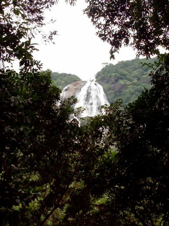 Photo of 573, Candolim Beach Rd, Candolim, Goa 403515, India by Saptarshi Choudhury