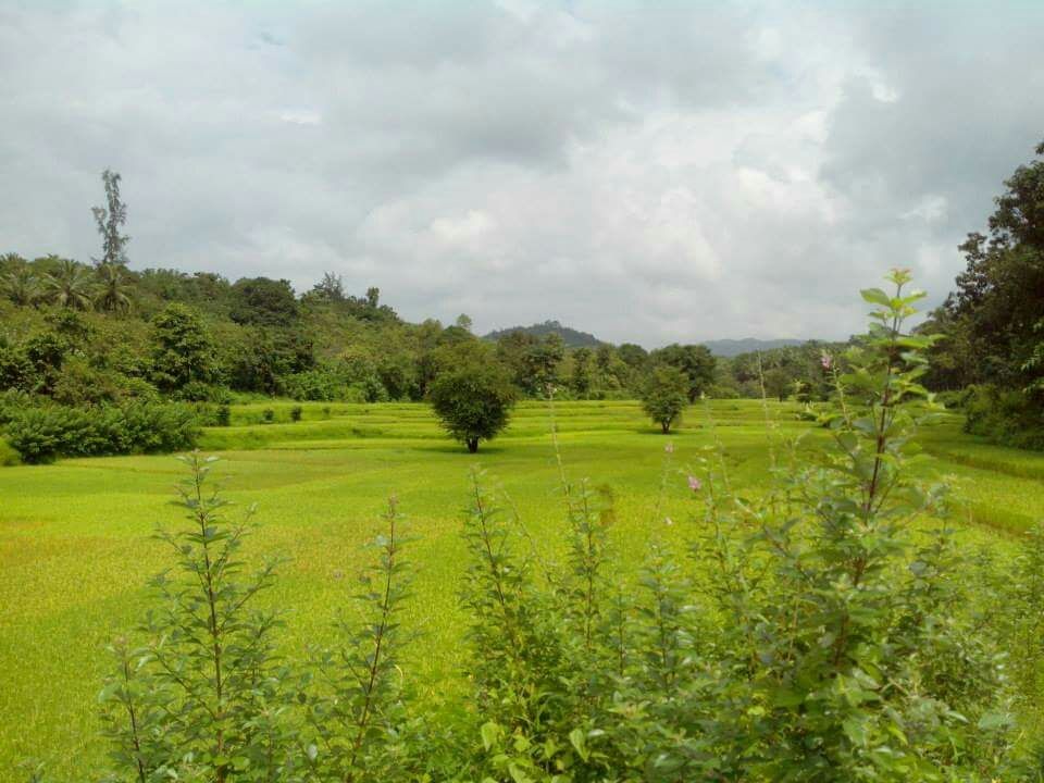 Photo of 573, Candolim Beach Rd, Candolim, Goa 403515, India by Saptarshi Choudhury