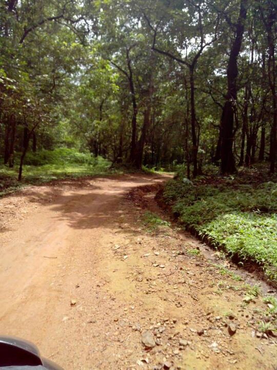 Photo of 573, Candolim Beach Rd, Candolim, Goa 403515, India by Saptarshi Choudhury