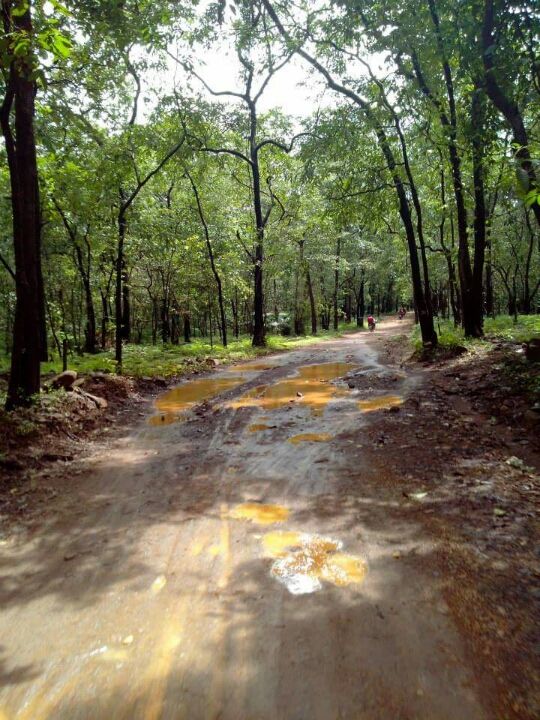 Photo of 573, Candolim Beach Rd, Candolim, Goa 403515, India by Saptarshi Choudhury