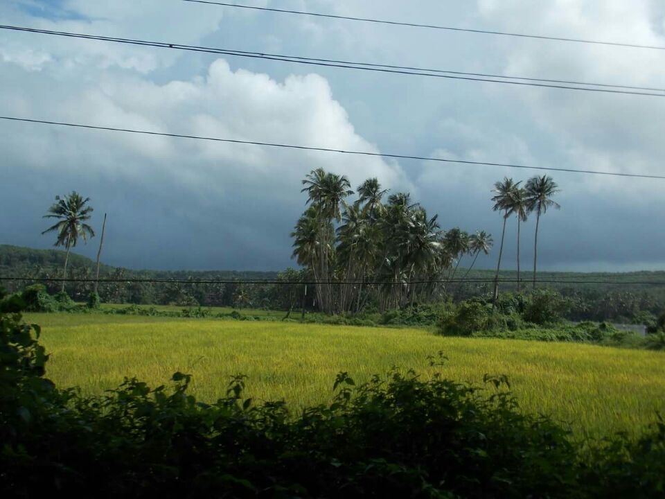 Photo of 573, Candolim Beach Rd, Candolim, Goa 403515, India by Saptarshi Choudhury