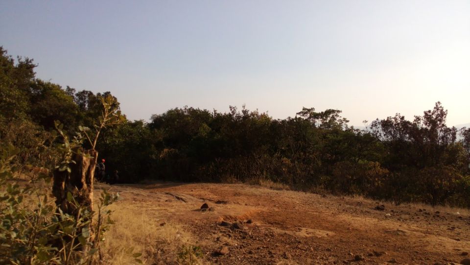 Photo of Trek to Harishchandragad via Tolar Khind 21/23 by Aftab HL