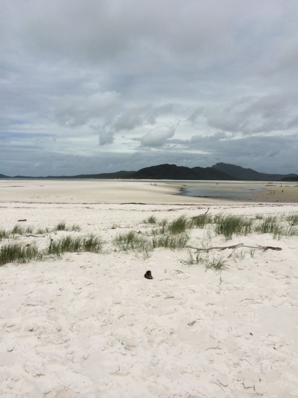 Photo of Airlie Beach: Whitsunday Islands 6/9 by Anjali