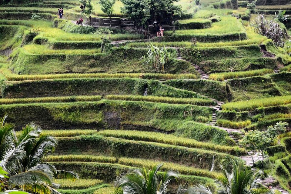 Photo of Bali Before Mt. Agung Erupted 8/30 by Pushpa Kurup