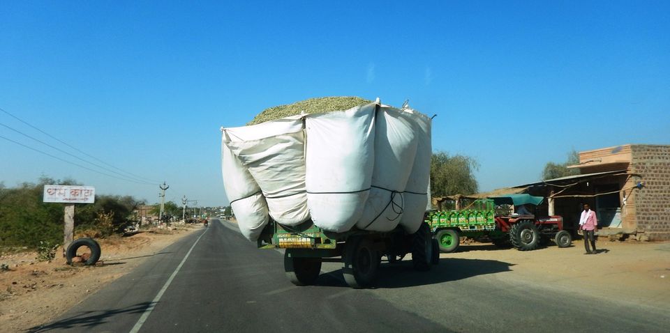 Photo of Glimpses of Rajasthan 9/22 by Pushpa Kurup