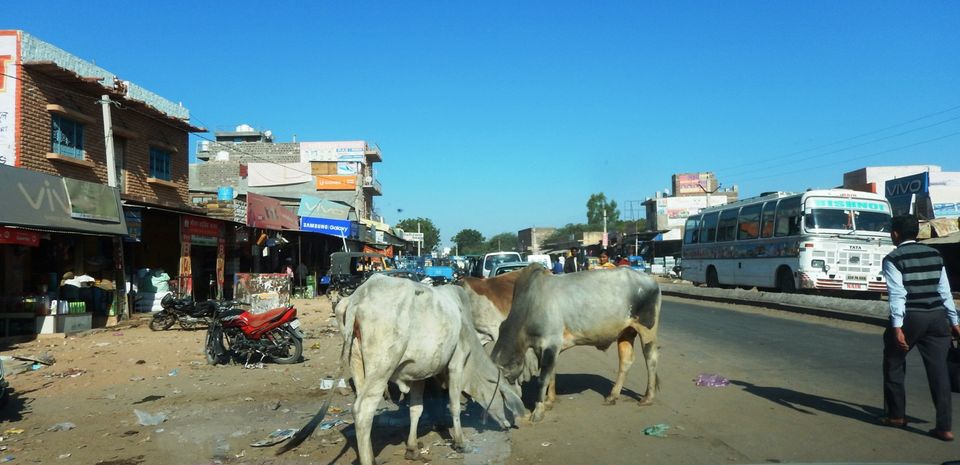 Photo of Glimpses of Rajasthan 11/22 by Pushpa Kurup