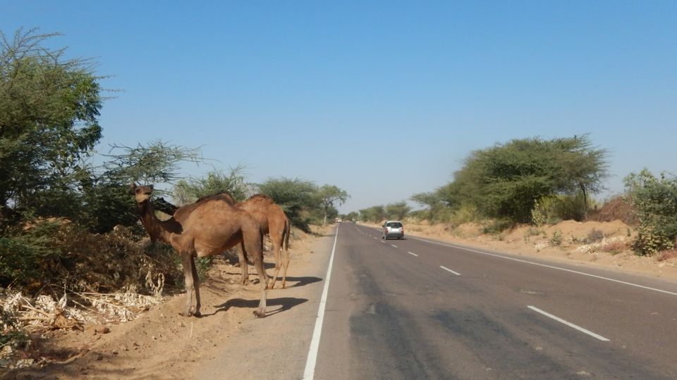Photo of Glimpses of Rajasthan 12/22 by Pushpa Kurup