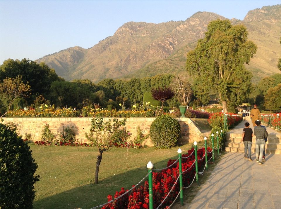 Photo of Paradise Abandoned - Kashmir in 2018 5/28 by Pushpa Kurup