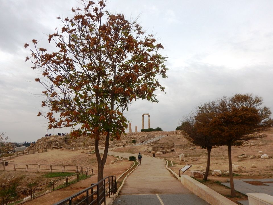 Photo of Jordan - From Dead Sea to Red Sea (Part 1) 2/17 by Pushpa Kurup