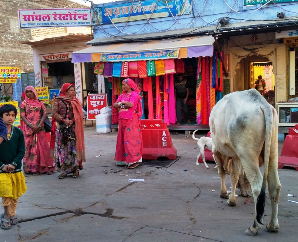 Photo of More Bhang For Your Buck! #RememberRajasthan 5/23 by Pushpa Kurup