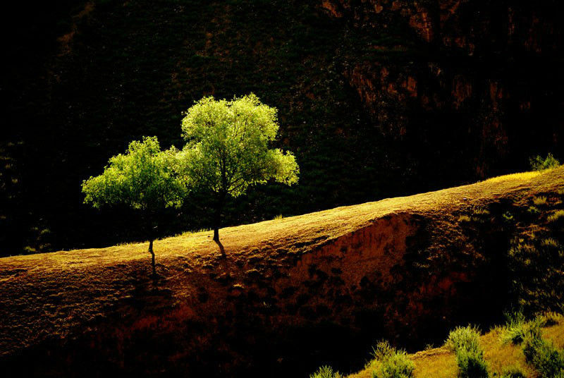 Photo of Huangshan & Beyond: A Photography Tour 5/13 by Huangshan Guide