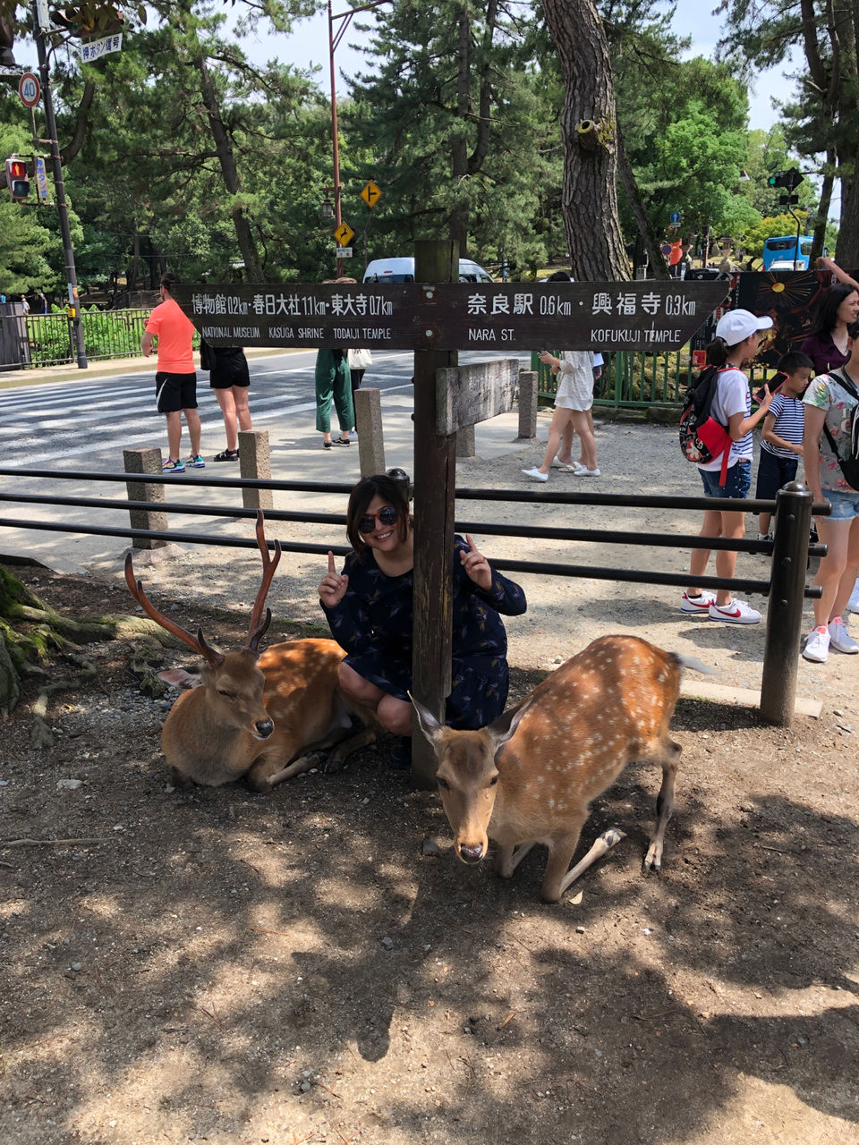 Photo of Nara Park, Nara, Japan by travelgirlindia