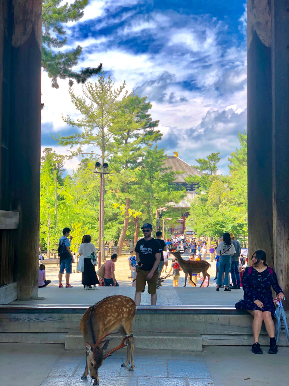 Photo of Nara Park, Nara, Japan by travelgirlindia