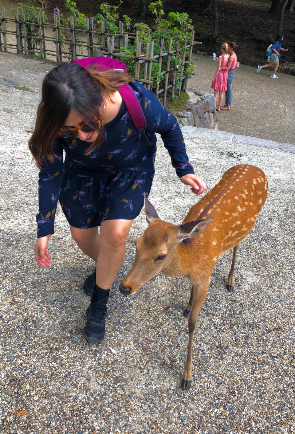Photo of Nara Park, Nara, Japan by travelgirlindia