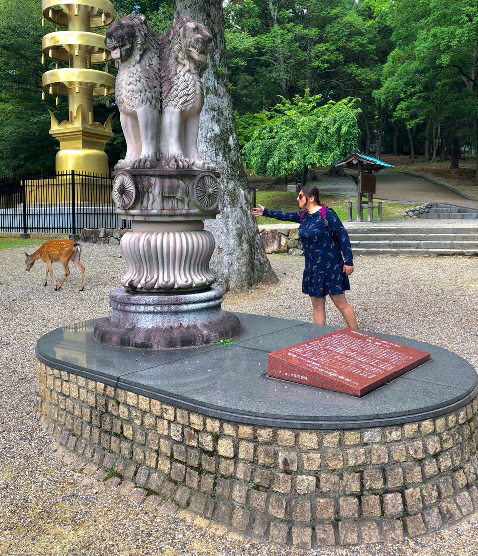 Photo of Nara Park, Nara, Japan by travelgirlindia
