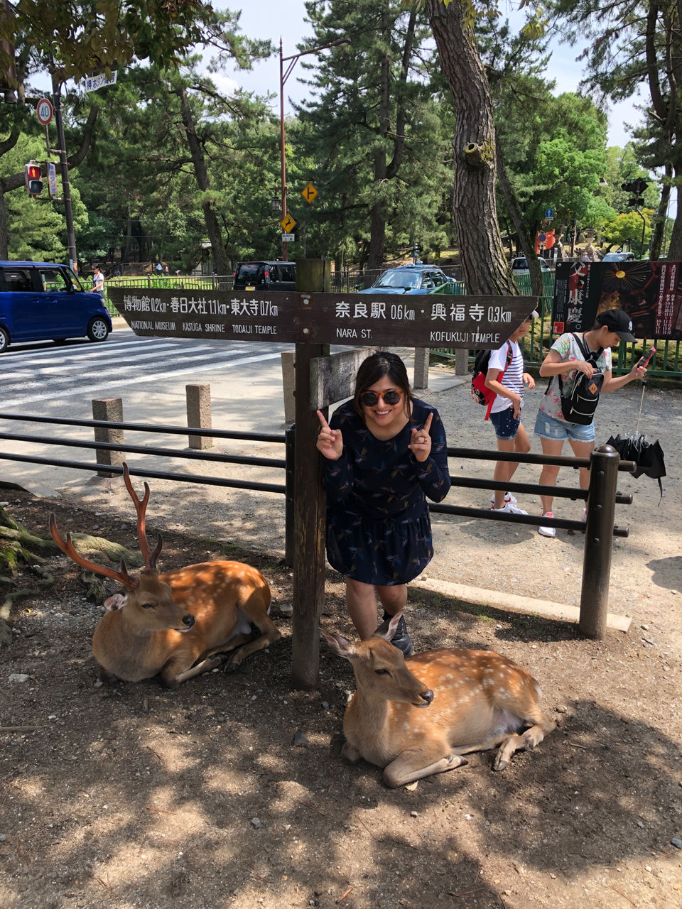 Photo of Traveling Japan when i am still Injured by travelgirlindia