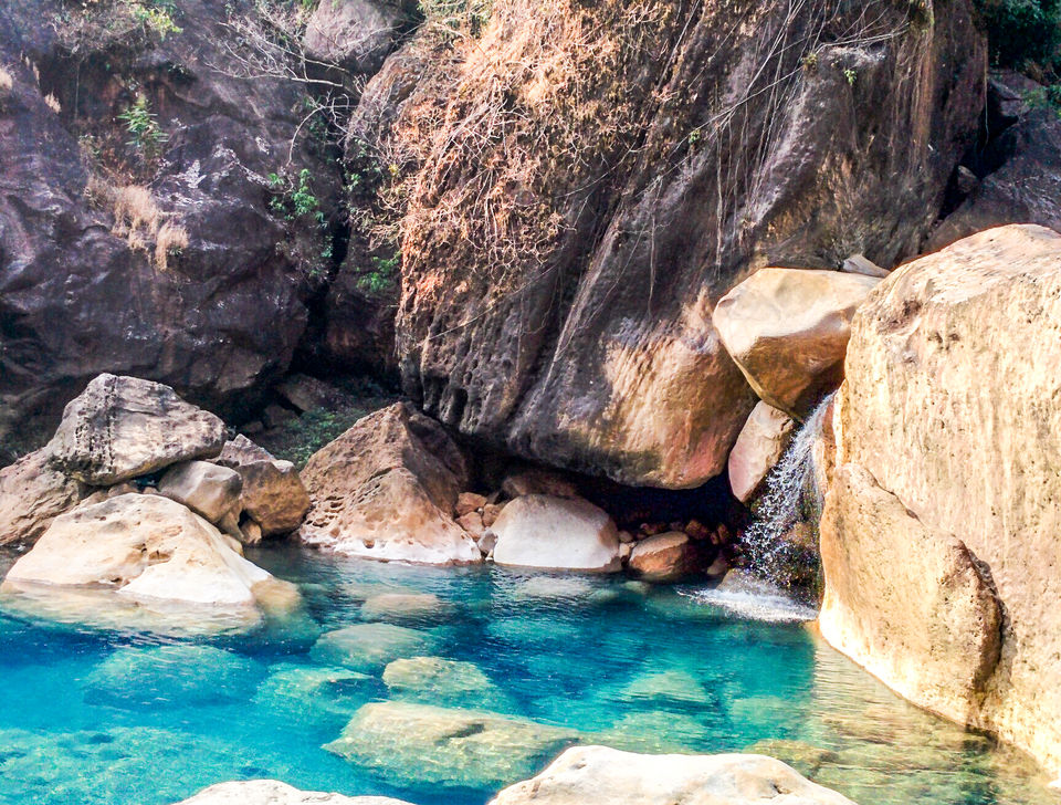 Photo of Litmus Test for my Dream | North-East India, Bhutan and Nepal 10/24 by Anjaneai Srivastava