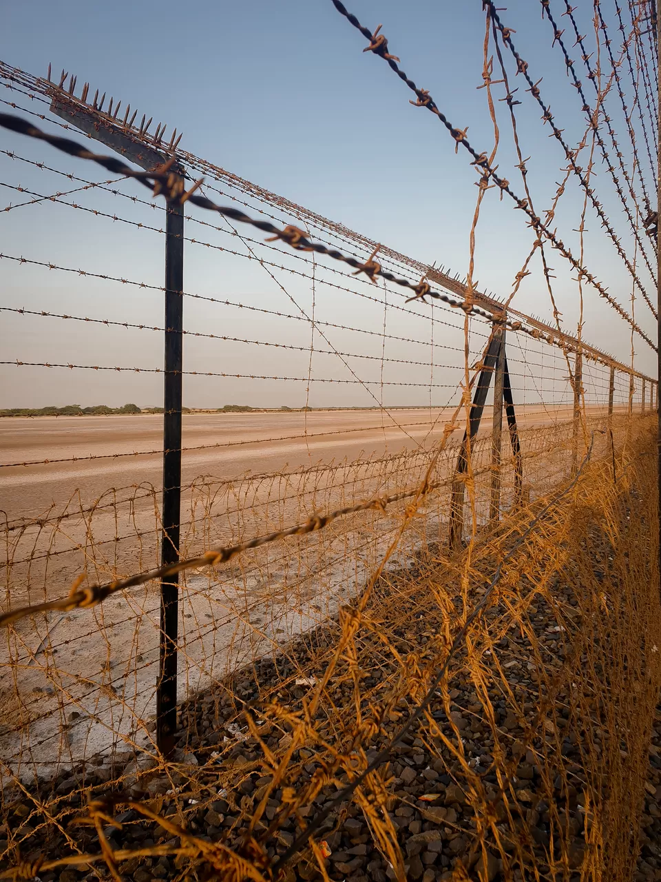 Photo of A Day Trip To INDIA - PAKISTAN Border At Nadabet, Zero Line Visit by Pamela Mukherjee