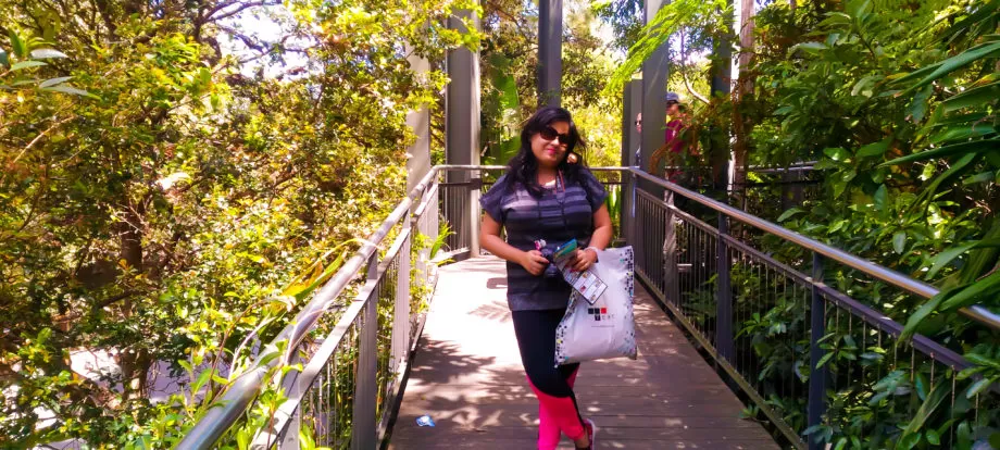 Photo of The Ultimate Guide of Taronga Zoo, Sydney – Way To Spend A Day by Pamela Mukherjee