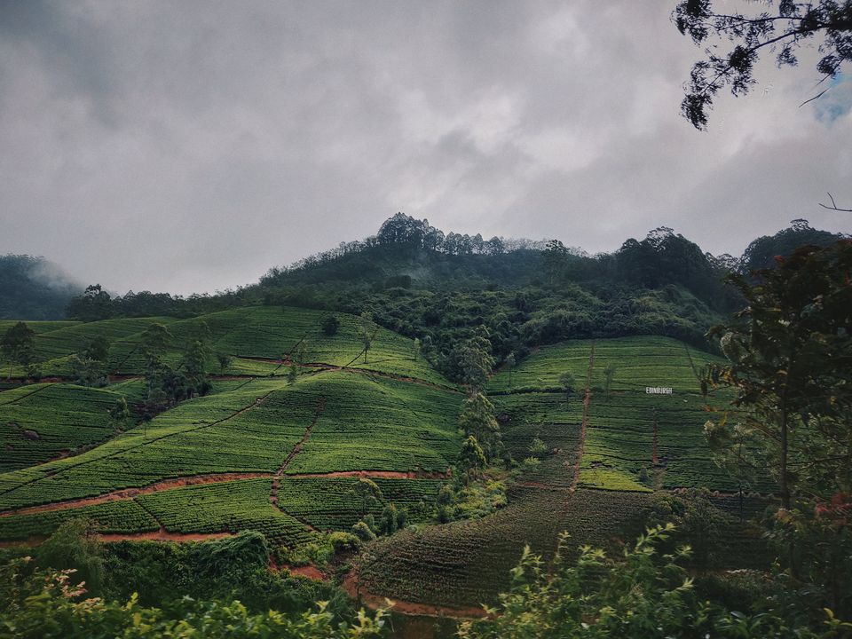Photo of NUWARA ELIYA, SRILANKA - Things to do at Little England by Pamela Mukherjee