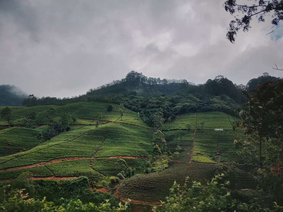 Photo of NUWARA ELIYA, SRILANKA - Things to do at Little England by Pamela Mukherjee