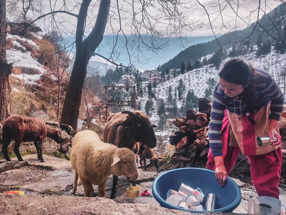 Photo of How I Left My Corporate Job And Moved To The Mountains In Old Manali by Ambika Bhardwaj