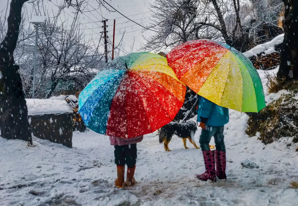 Photo of How I Left My Corporate Job And Moved To The Mountains In Old Manali by Ambika Bhardwaj