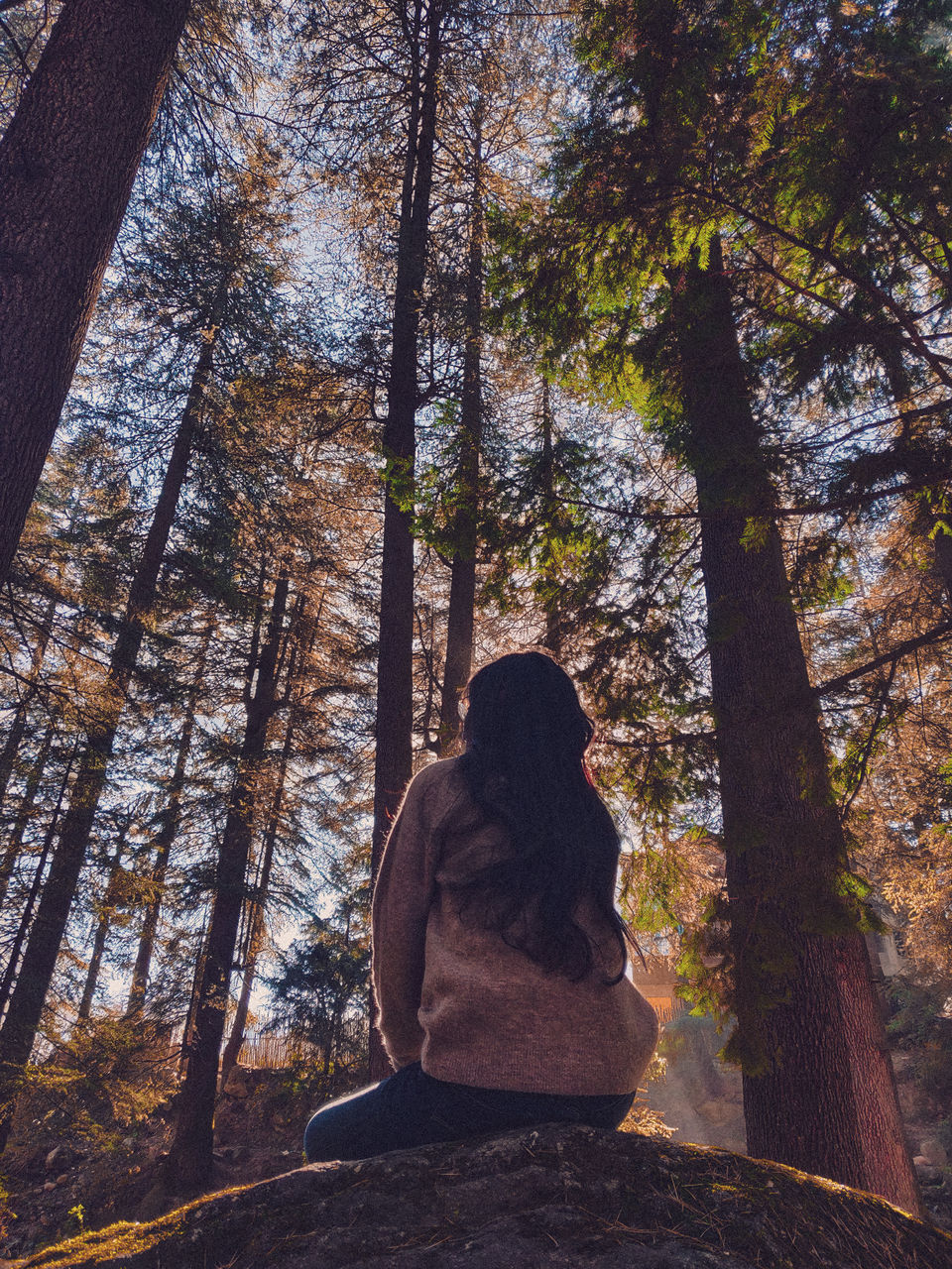 Photo of Seven Lessons Moving To The Mountains Taught Me by Ambika Bhardwaj